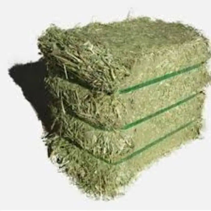 Alfalfa Hay for Animal Feeding /alfalfa hay pellets /Timothy Hay in Bales