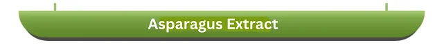Asparagus Extract (P).png