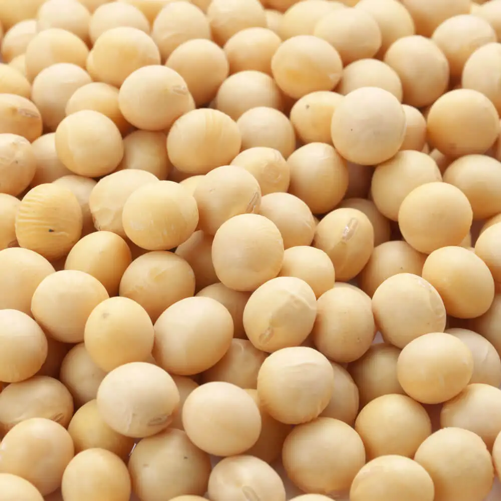 Соевые бобы высокого качества Non GMO желтые Сухие Семена сои NON-GMO