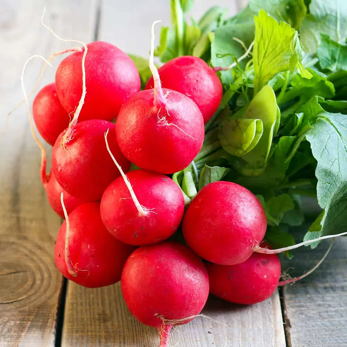 Best Selling Red Radish At Wholesale Price