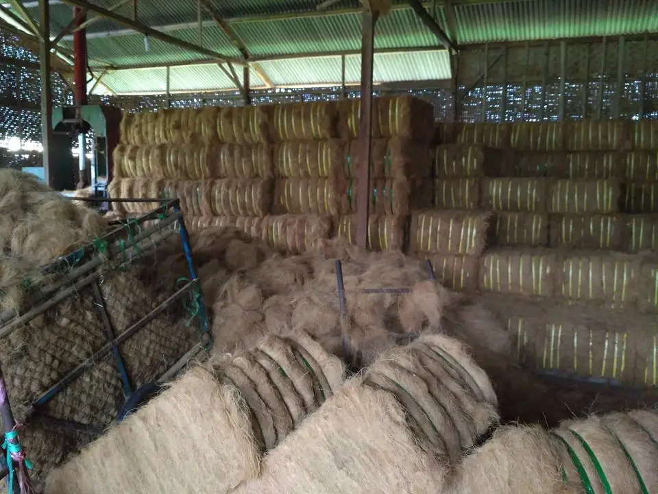 Coconut fiber good quality, home outdoor garden flower , ornamental tree plant soil seed