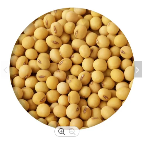 Soybean non GMO bulk supply