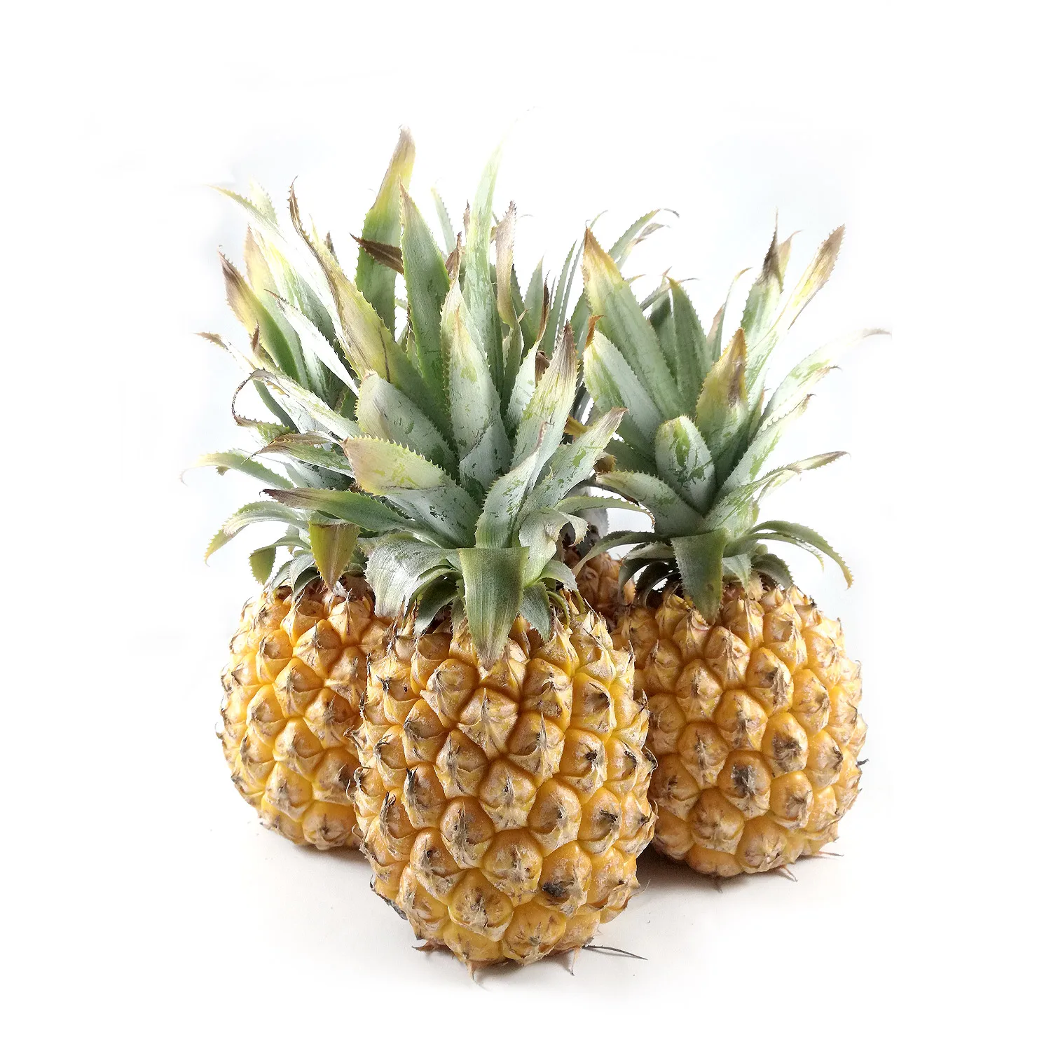 Wholesale New Crop Fresh Pineapple