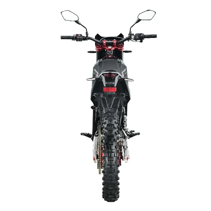 Arctic Leopard EXE 880 Cheetah EXE880 125km /H 37KW 90V 75Ah Offroad E Motorcycle Electric Dirt Bike