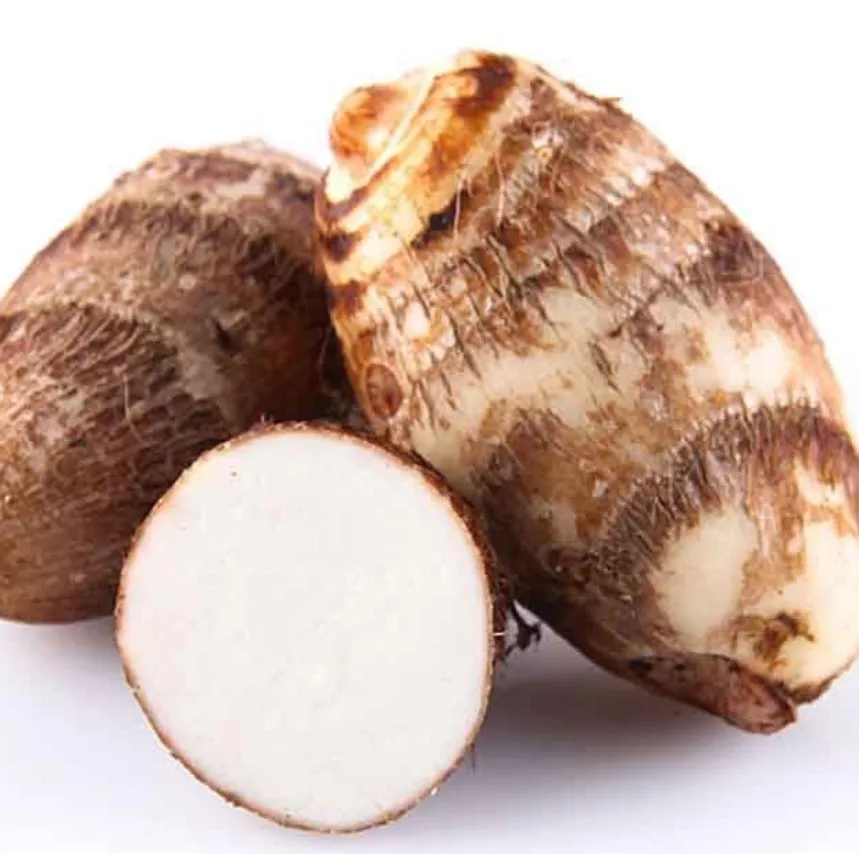 Качественная очистка свежий длинный Taro оптовая цена taro овощи экспортер готов для поставки по доступной
