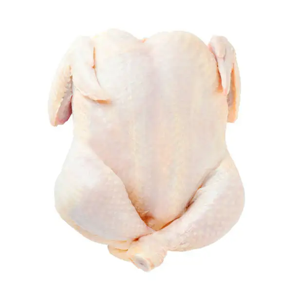 Quality Best price Frozen HACCP HALAL Frozen Whole Chicken
