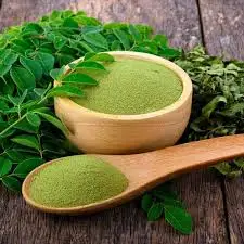Top Grade Moringa Powder Wholesale 100% Natural Moringa Extract powder - New Crop Fresh Moringa