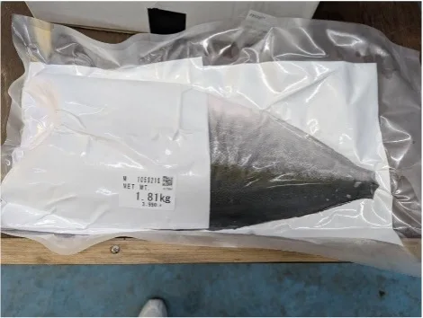 Japanese Yellowtail Fillet Frozen Fish Importers Seafood Wholesalers