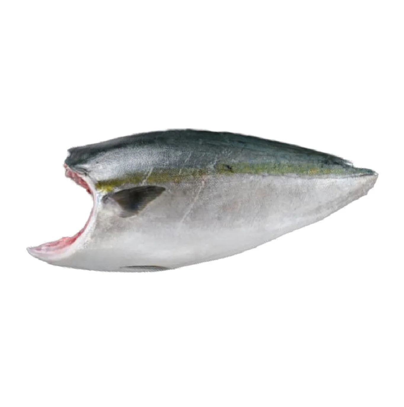 Wholesale Quick Best Fresh Dried Seafood Import Dry Fish Frozen