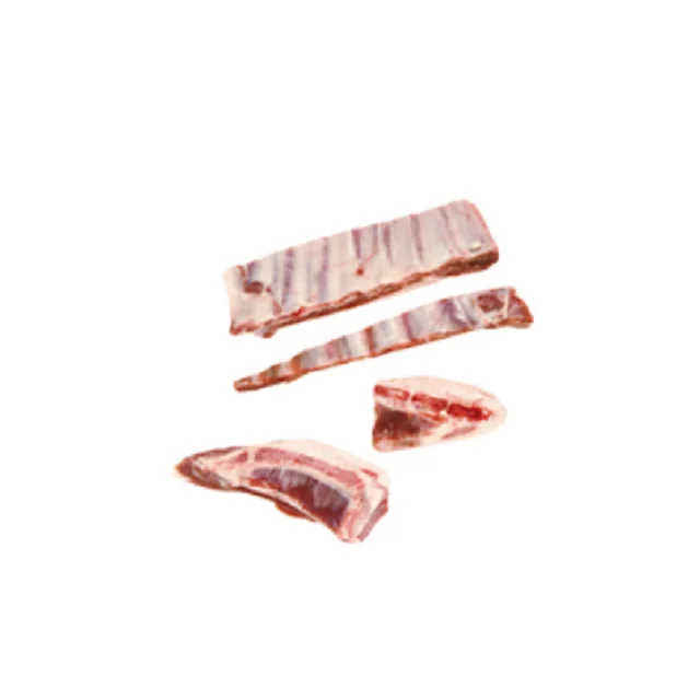 HOT SALE CHEAP HALAL FRESH BREAST AND FLAP PIECES 5009/ FROZEN GOAT / LAMB / SHEEP MEAT / CARCASS