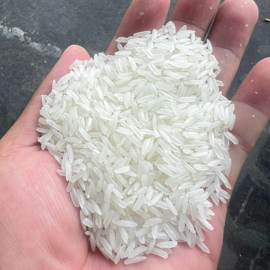 [Havigo] Vietnam Rice Jasmine High Quality Superior Taste Dried and Fresh Jasmine Rice Best Rice at a Competitive Price
