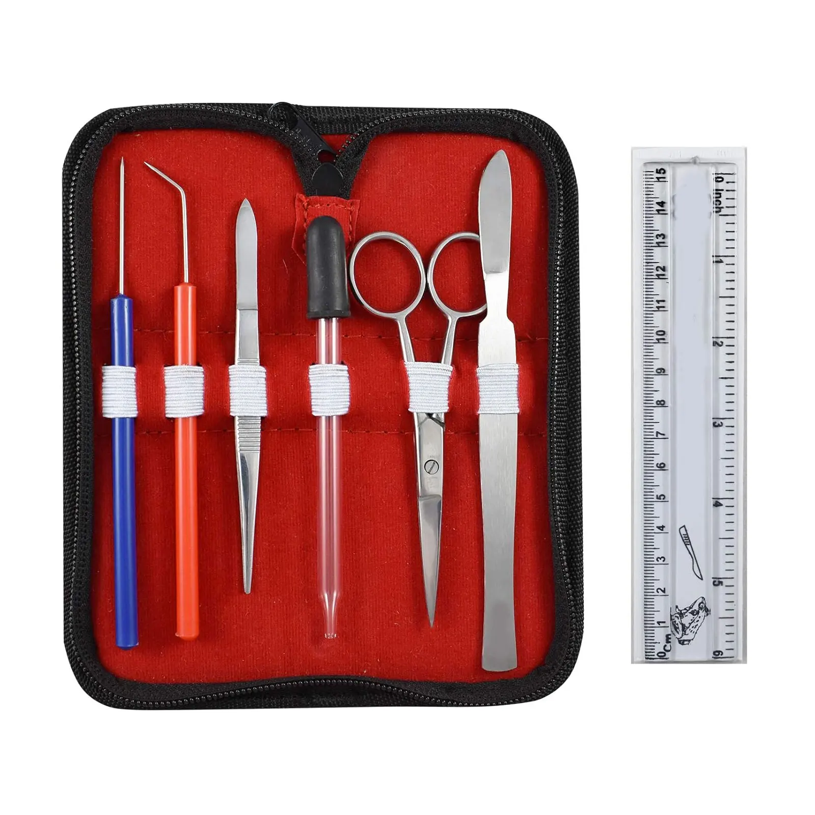 Wholesalers Fine Zippy Dissection Kit Grade Community College Level 8 Piece Set Stainless Steel Ground Scissors