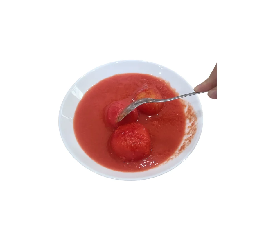 CHEAP PRICE Hot Sale Vietnam Manufacturer Supply Tasty High Standard Vegetable Canned TOMATO in TOMATO JUICE 580ml/20oz/30oz