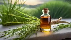 Vetiver Plant Extract Essential Oil Exports in Bulk
