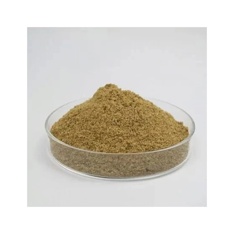 High Protein Powder Fish Meal 60-61% & oil 7% Healthy Organic Premium Quality From Brazil Nutrition Breeding Fish Feed Meal