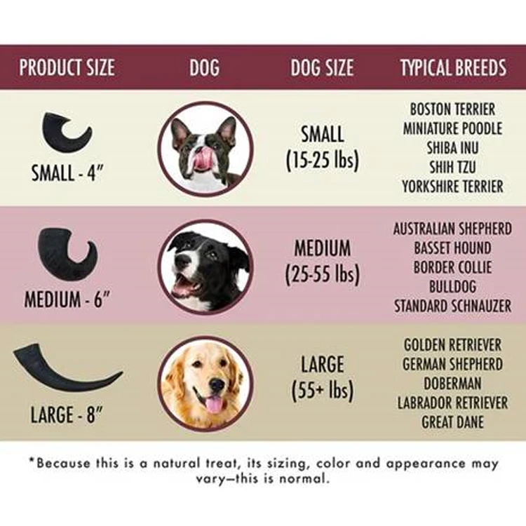 Global Exporter Widely Selling Optimum Quality Natural Small Size Water Buffalo Horn Dog Chew Long-Lasting for Dogs at Low Price