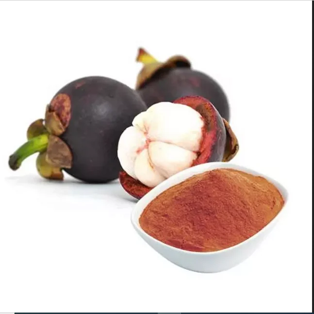 Ciyuan Good quality Mangosteen Peel Extract Freeze Dried   from germany