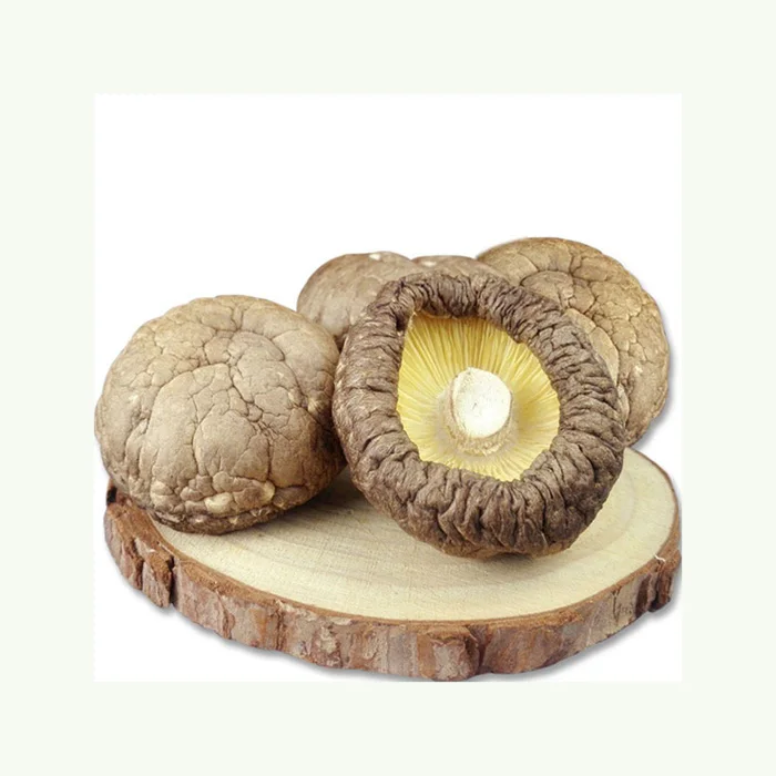 High Quality Dried Shiitake Wholesale Jade Bridge 1 kg Dry Mushroom with Factory Price
