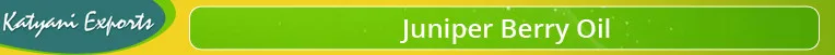 Private Label 100% Pure Natural Juniper Berry Essential Oil Wholesale Bulk Supply for Cosmetics Organic Available Lowest Prices