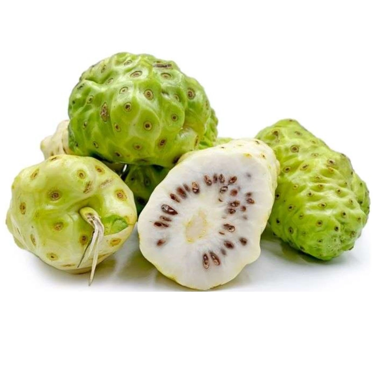 Noni Powder Herbs Noni Fruit Powder Morinda Citrifolia 100%  Pure & Natural Immune Support Supplement Antioxidant