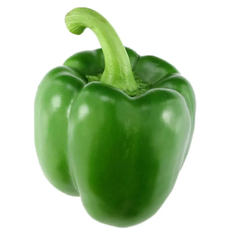 2023 Capsicum/Fresh Red Bell pepper from Vietnam to the best price - VietGAP and GlobalGAP standards in agricultural production