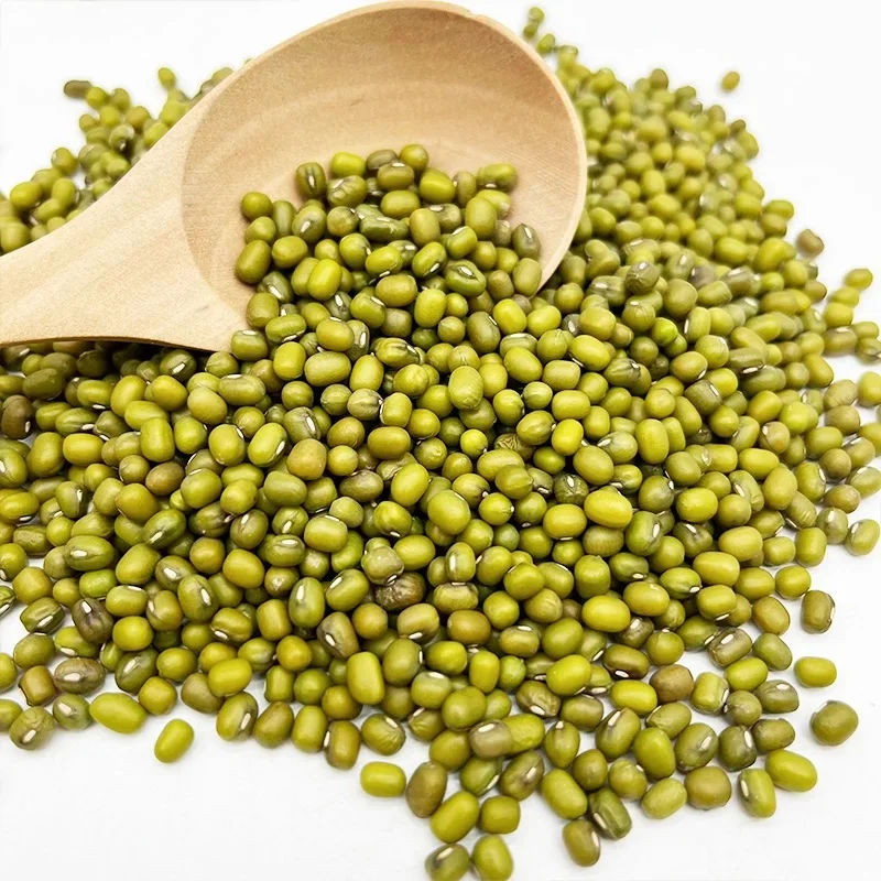 Top Quality Ukraine Green Mung Beans / Moong Dal / Vigna Beans for export