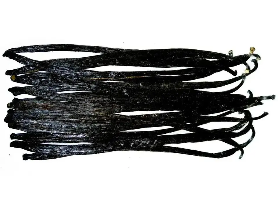 Vanilla Beans4.jpg