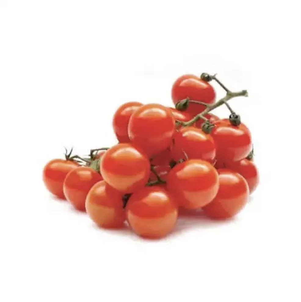PREMIUM QUALITY FRESH TOMATOES GREEN CHERRY RED INDION BOX TOMATO EXPORT