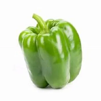 High quality colourful bell pepper