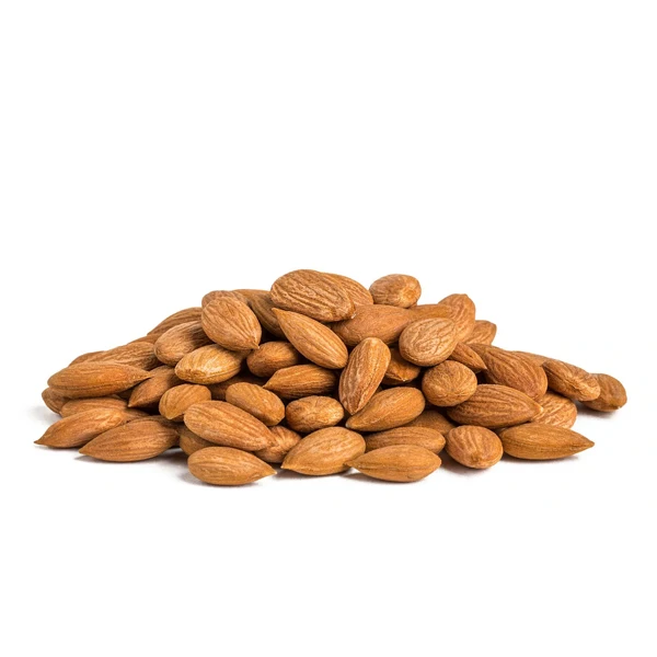 Wholesale Perfect Quality / 100% Natural Original Raw & dried Apricot Kernels