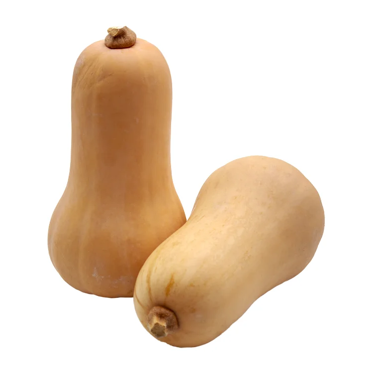 organic pumpkin Good choice good taste using for food packing in carton Made in Vietnam Manufacturer