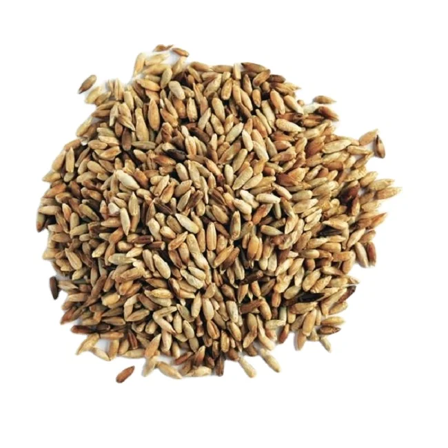 Bulk Supply Large Quantity with Competitive Price Organic Whole Rye Grain from Trusted Supplier France