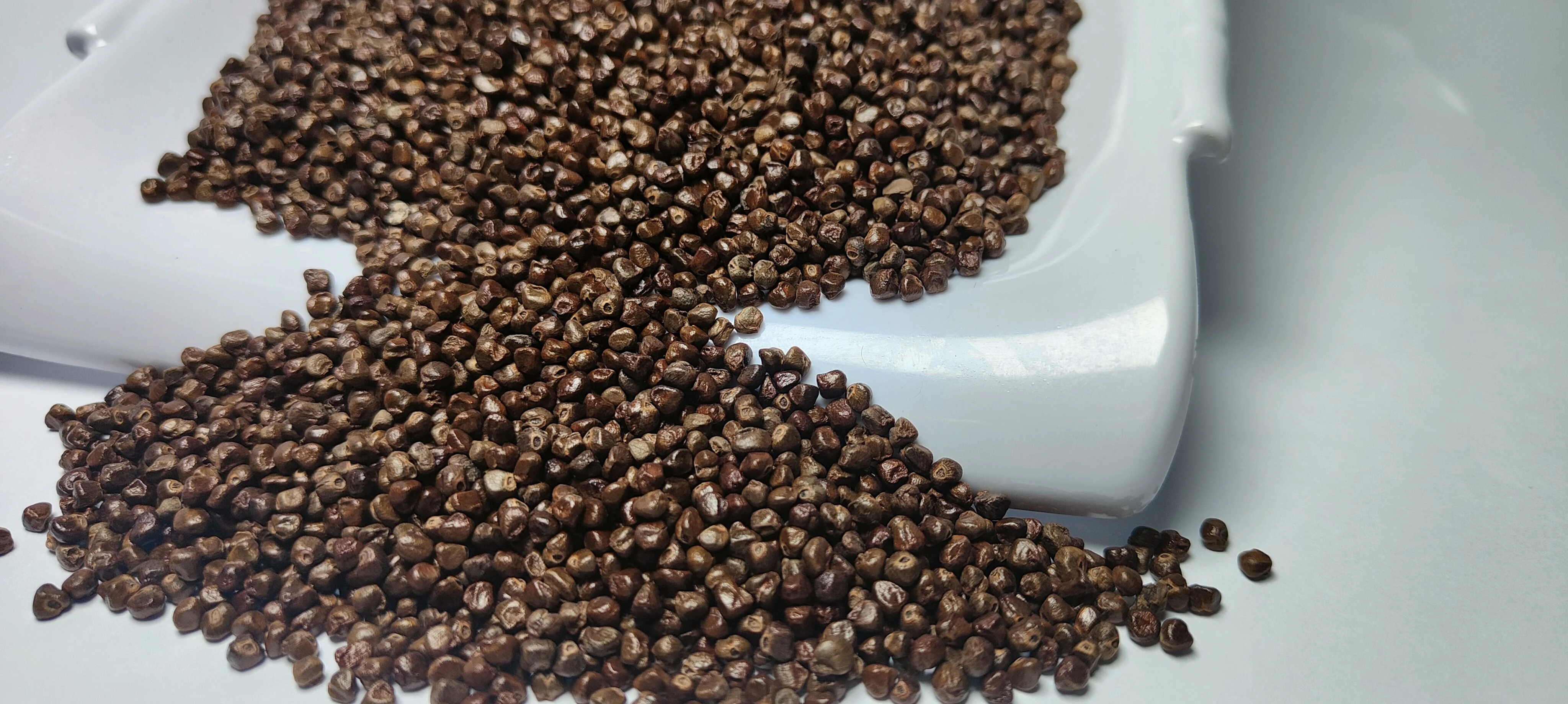 Cardamom Seed DP-08.jpg