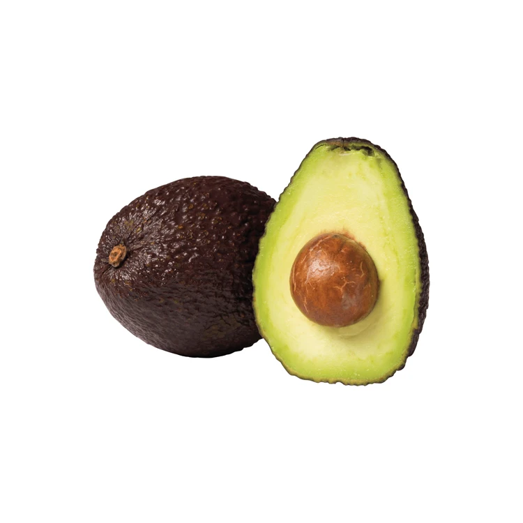 Fresh Avocado / Hass Avocado, Fuerte Avocado For Sale