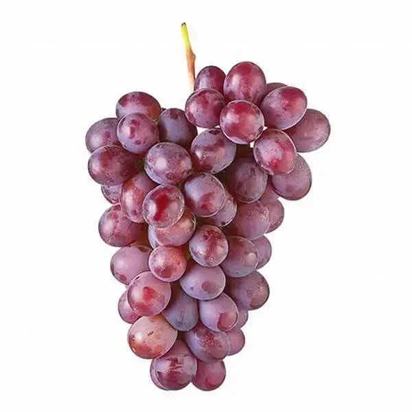 Quality Delicious Premium Quality Grapes Fresh Grapes Indian Exporter sweet grape