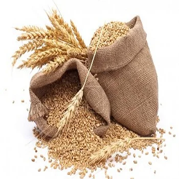 Качественные зерна пшеницы для продажи/зерно красного цвета