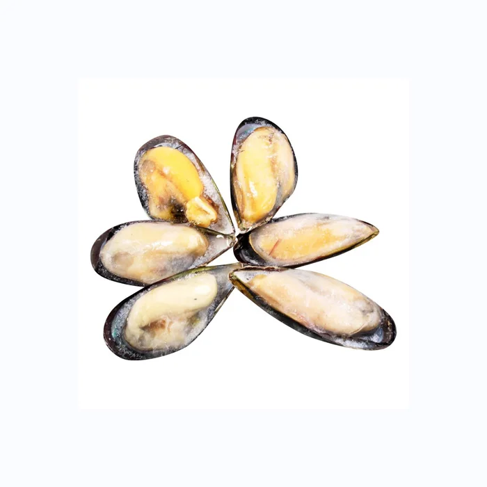 High Quality Hot Sale Seafoods Frozen Blue Mussel Pre-cooked Half Shell Mussel