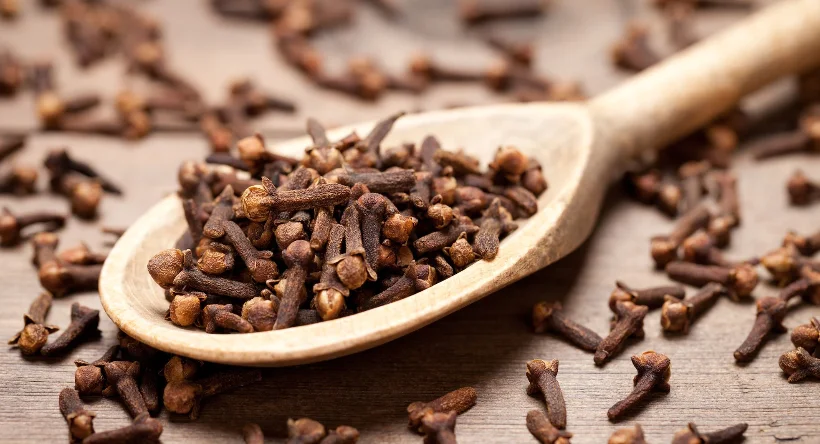 whole sale dry  clove flavor without impurities/Cloves Powder/Bulk Spices Clove Hot selling high-quality all