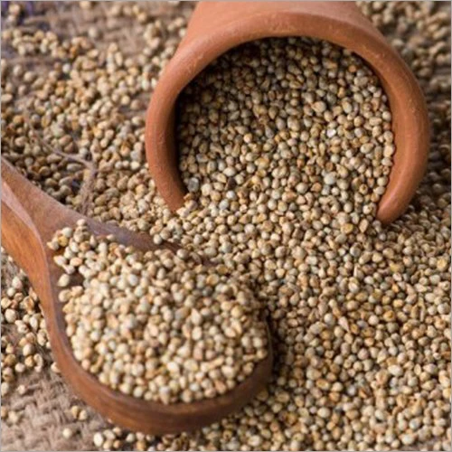 pearl millets brown millets 100% Pure and Natural Grain  Harvested Roasted  Pearl Millet for Bulk Purchase