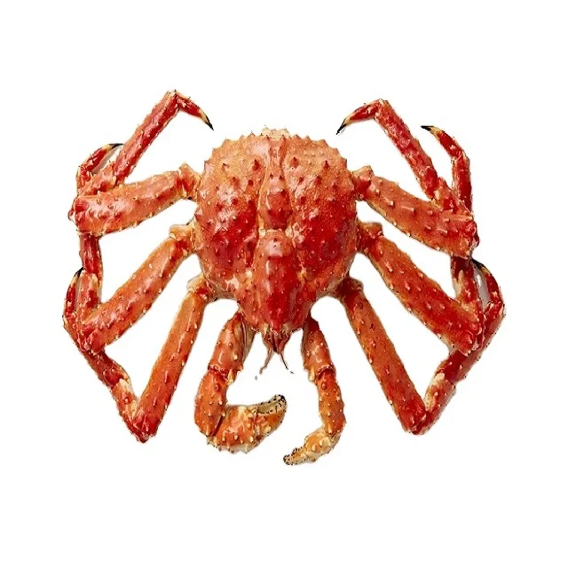 New Arrival Wild Caught Frozen Alaskan King Crab King Crab In USA Style Packaging Weight Muscle Red King Crab
