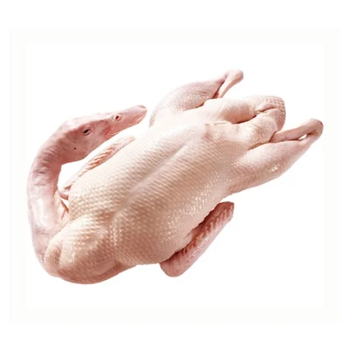 Best Price Halal Fresh/ Frozen Duck Meat For Sales