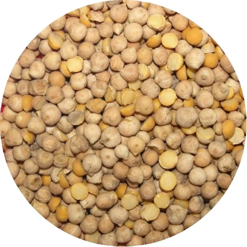 Best Selling Roasted Chickpeas High Demand Food Grade Kabuli Chickpeas Direct Sale in Bulk