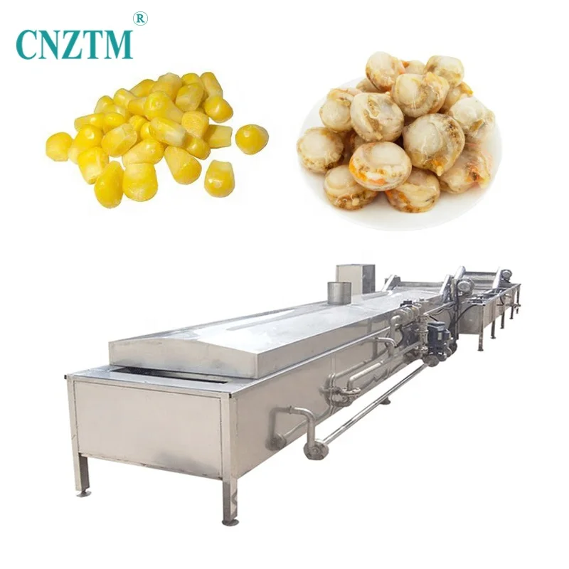 Automatic Continuous Spinach Frozen French Fries Vegetable Potatoes Fruit Mushroom Peanut And Groundnut Blanching Machine
