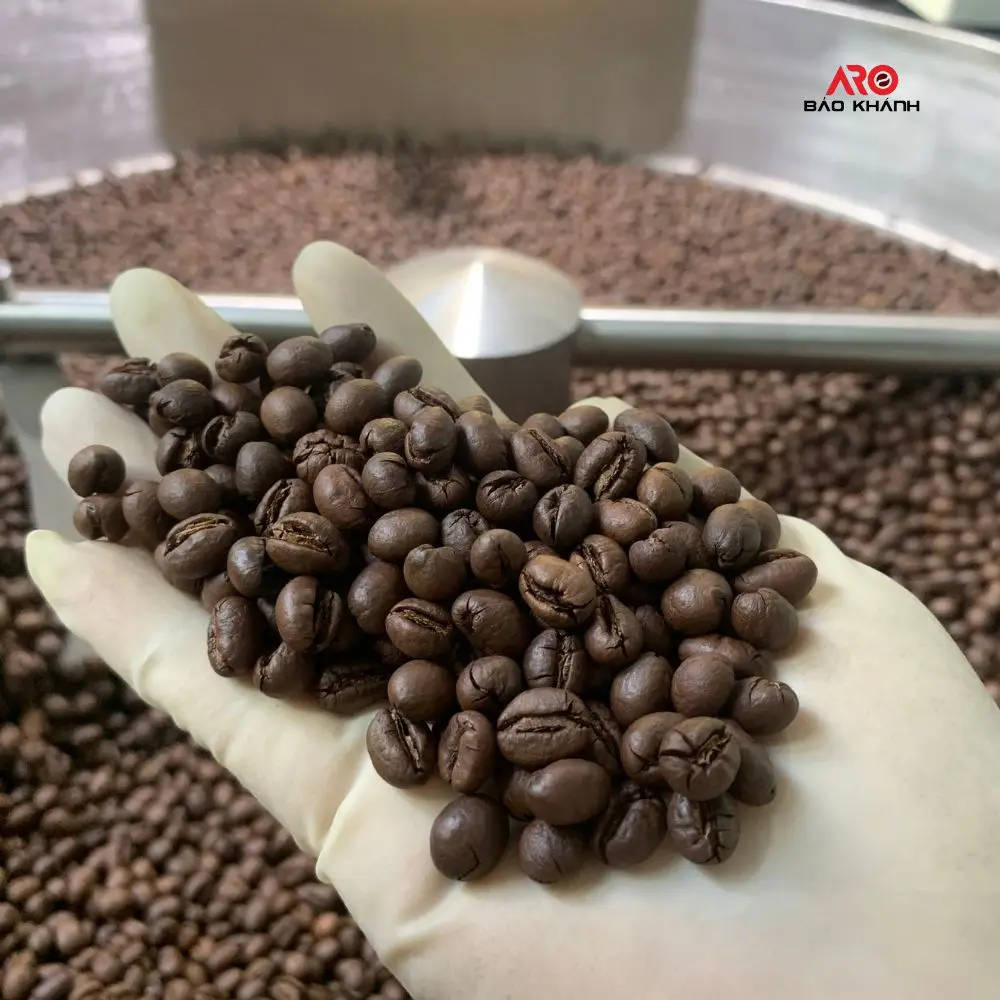 Private label Direct Factory VIET NAM ROASTED ROBUSTA OEM coffee Premium Espresso V60 Wholesale price Pure coffee Strong taste