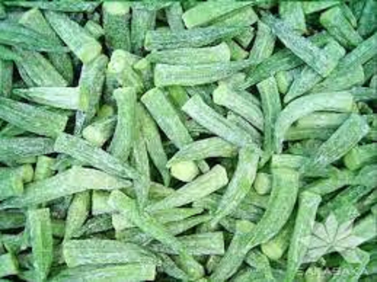 Высококлассные свежие замороженные органические овощи Okra IQF бамии для продажи
