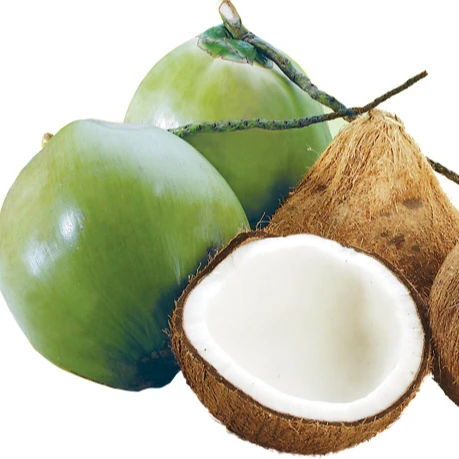 TOP QUALITY! COCONUT FIBER with COMPETITIVE PRICE FRESH MATURE COCONUT