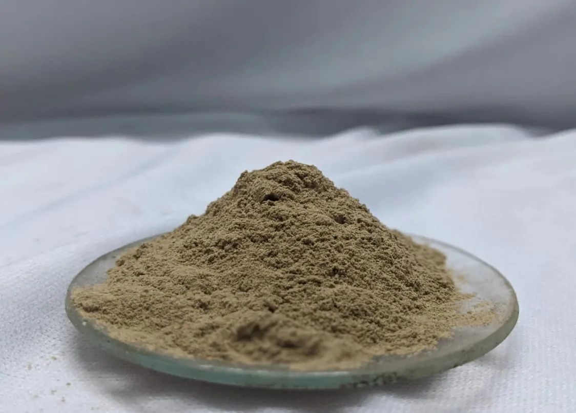 Manufacturer of Amla Powder from India Amla Powder Fights Free Radicals that Cause Aging and Skin Damage Suppliers From India