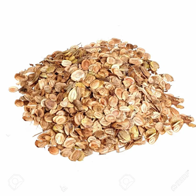 Dried Natural Parsnip Seeds for Sale