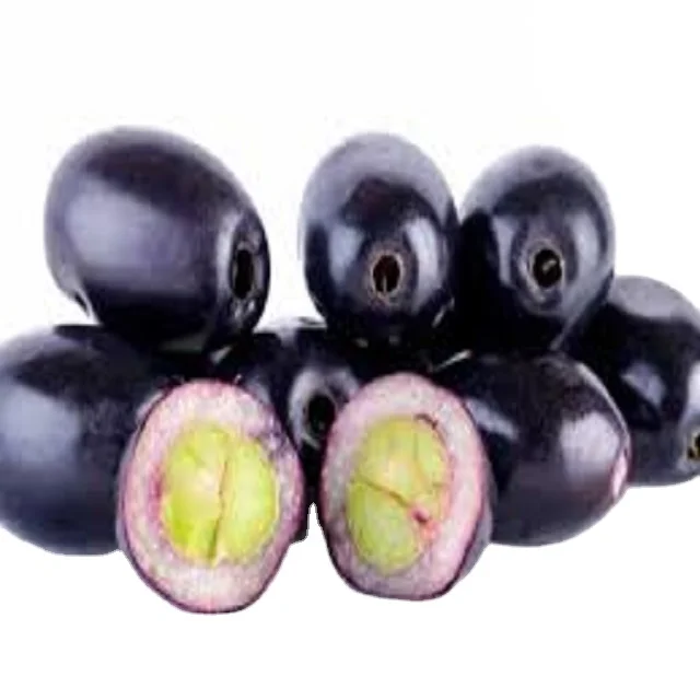 Fresh export quality   jamun pakistan black jamun black java plum syzygium organic fresh fruit season jamun fresh customization
