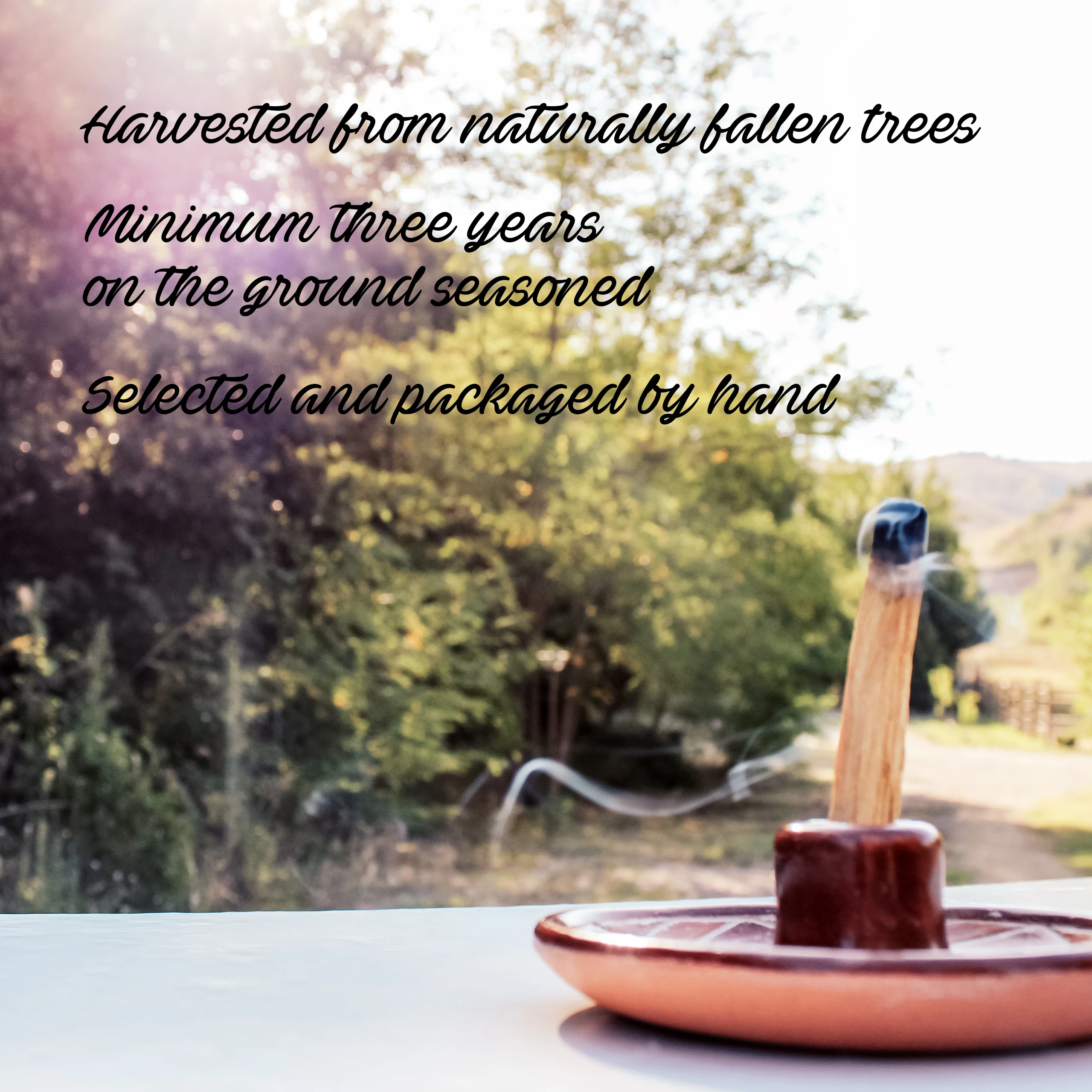 High Quality Natural Incense Sticks - Palo Santo Sticks Peru - Premium Palo Santo Wood - Shipped from Peru - 100 kg or more